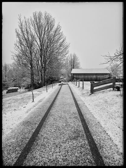 A serene winter scene is depicted in this image, showcasing a road covered in a blanket of snow. The monochrome photograph features a dominant color palette of grey and white, with accents of dark grey. In the background, a row of trees can be seen, their branches dusted with snow. A palm tree and a bench are also visible in the foreground, adding a touch of contrast to the snowy landscape. The image exudes a peaceful and tranquil atmosphere, evoking the feeling of a cold winter day.