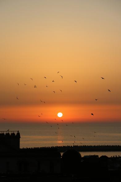 Die Sonne steht flach über dem Meer und malt den Horizont orange. Zahlreiche Möwen fliegen umher. Dunkel im Vordergrund die Wellenbrecher und die Dächer der Häuser.