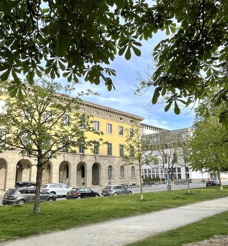 View through green tree branches onto a historic yellow building with arched entrances, part of our university. In the foreground, a grassy area with a path; parked cars and modern buildings in the background.