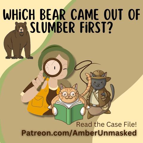 "Which bear came out of slumber first?"
Canva graphic of a bear.
Multi color background in earth tones.
Canva illustration of a woman with ponytail in explorer/adventuring gear holding a magnifying glass to her eye.
2 images by Kynaaarts:
orange and white cat wearing glasses reading a book; a black cat dressed like Indiana Jones
