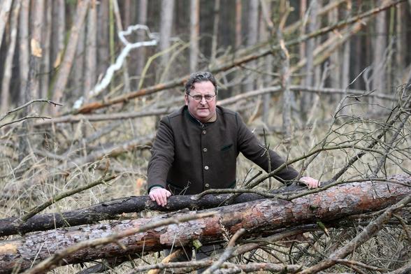 Ein Mann stützt sich auf umgefallene Baumstämme in einem Wald