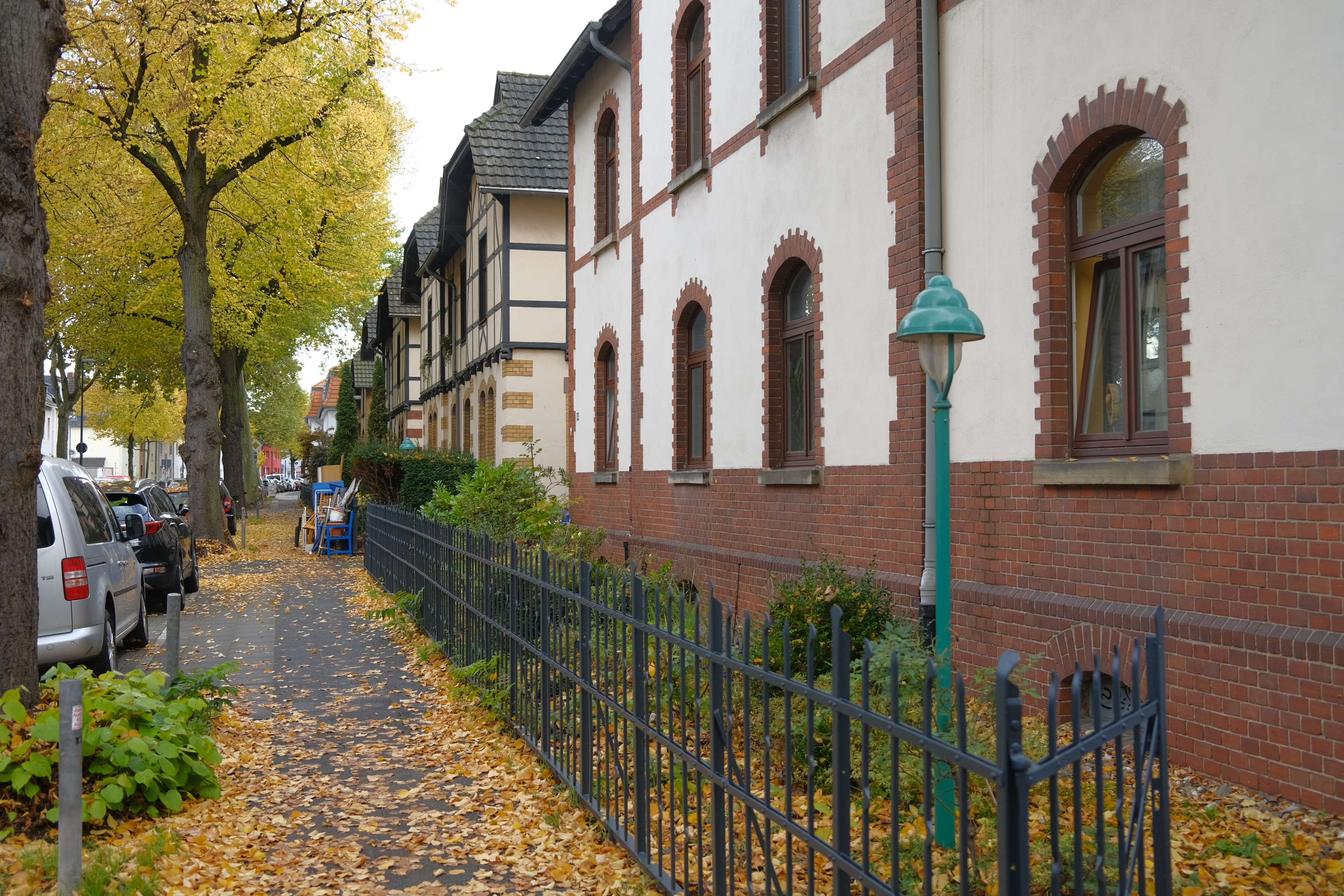 Herbst in Köln Müngersdorf Vitalisstraße