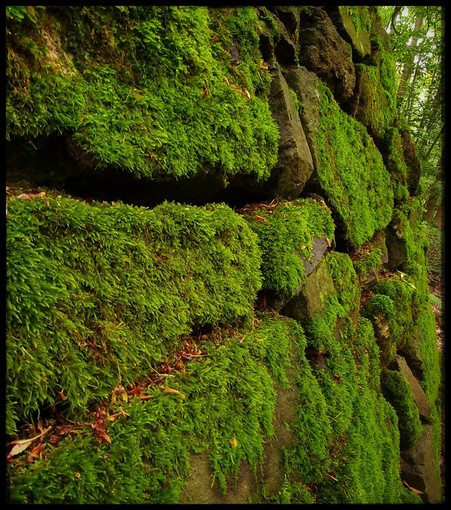 a mossy natural stone wall securing the winding first path up to a tiny castle (1600s)