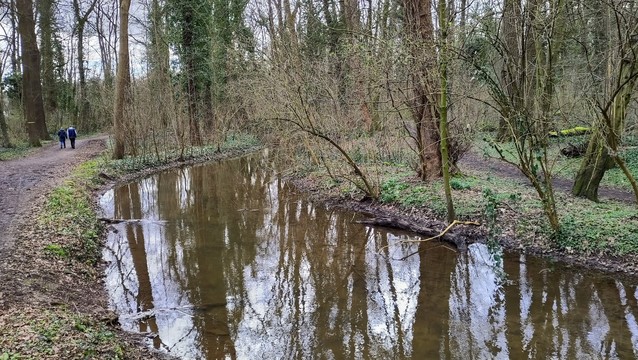 Ein kleiner Fluss, sich in eine Kurve schmiegend (Kleine Erft). Winterwald, links ein Weg.