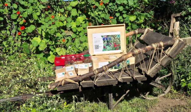 Eine auf uralt getrimmte Schubkarre beladen 

mit einer Kiste, die verschiedene Saatproben enthält, 
 verpackten Saatkugeln und Gläsern mit Saatmischungen. 

Im Hintergrund rankt Kapuzienerkresse an einem Gartenzaun.