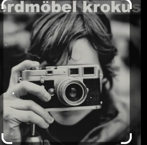 Erdmöbel - Album: Krokus