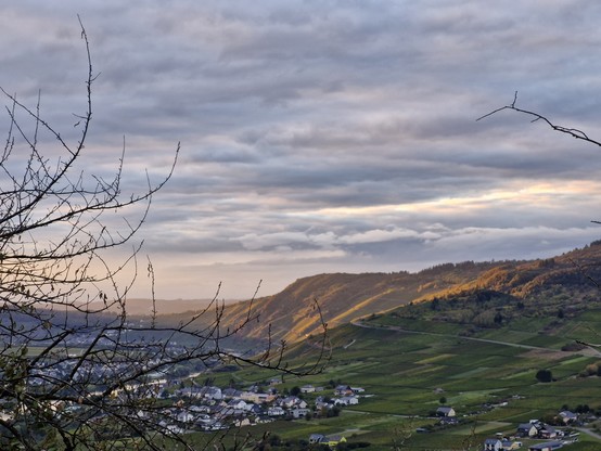 Moselberge im Abendlicht