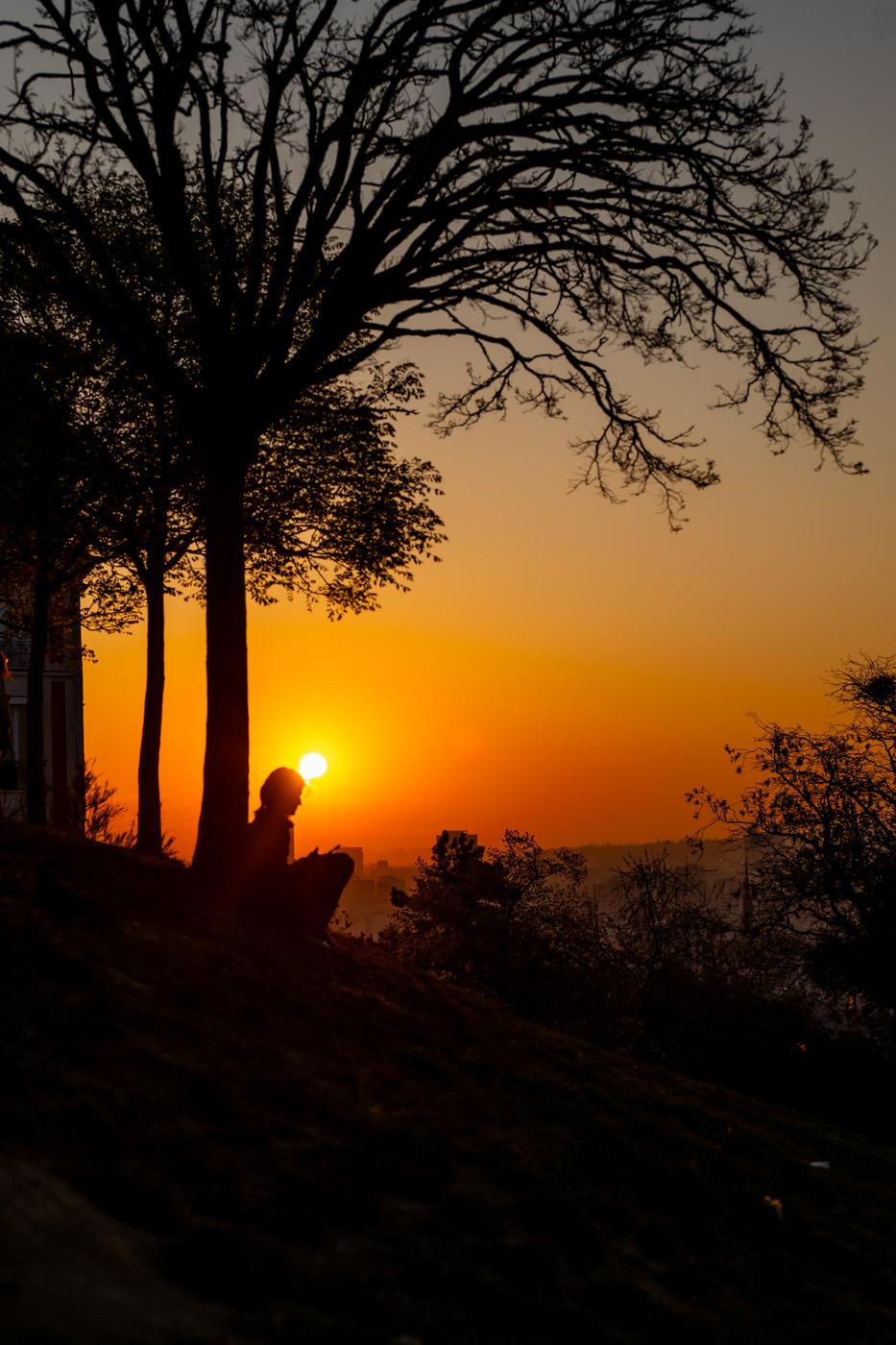 Eine Frau sitzt unter einem Baum, der an einem Hang steht. Es sieht beinahe aus, als ob sie liest. Direkt über ihrem Kopf geht die Sonne auf und taucht die ganze Szene in ein orangerotes Licht.
Der Baum und sie sind als Silhouetten zu erkennen. 