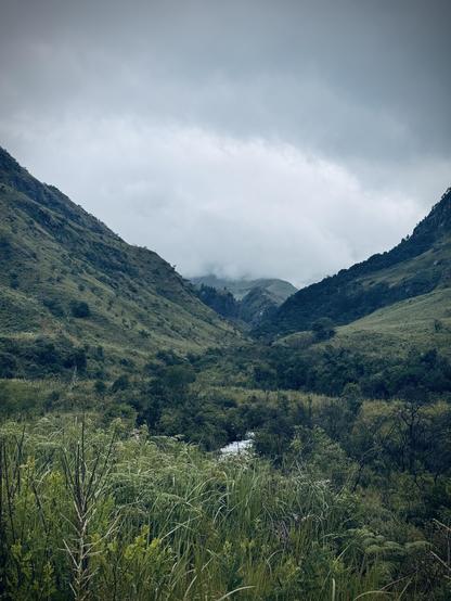 A lush green valley surrounded by towering mountains under a cloudy sky.