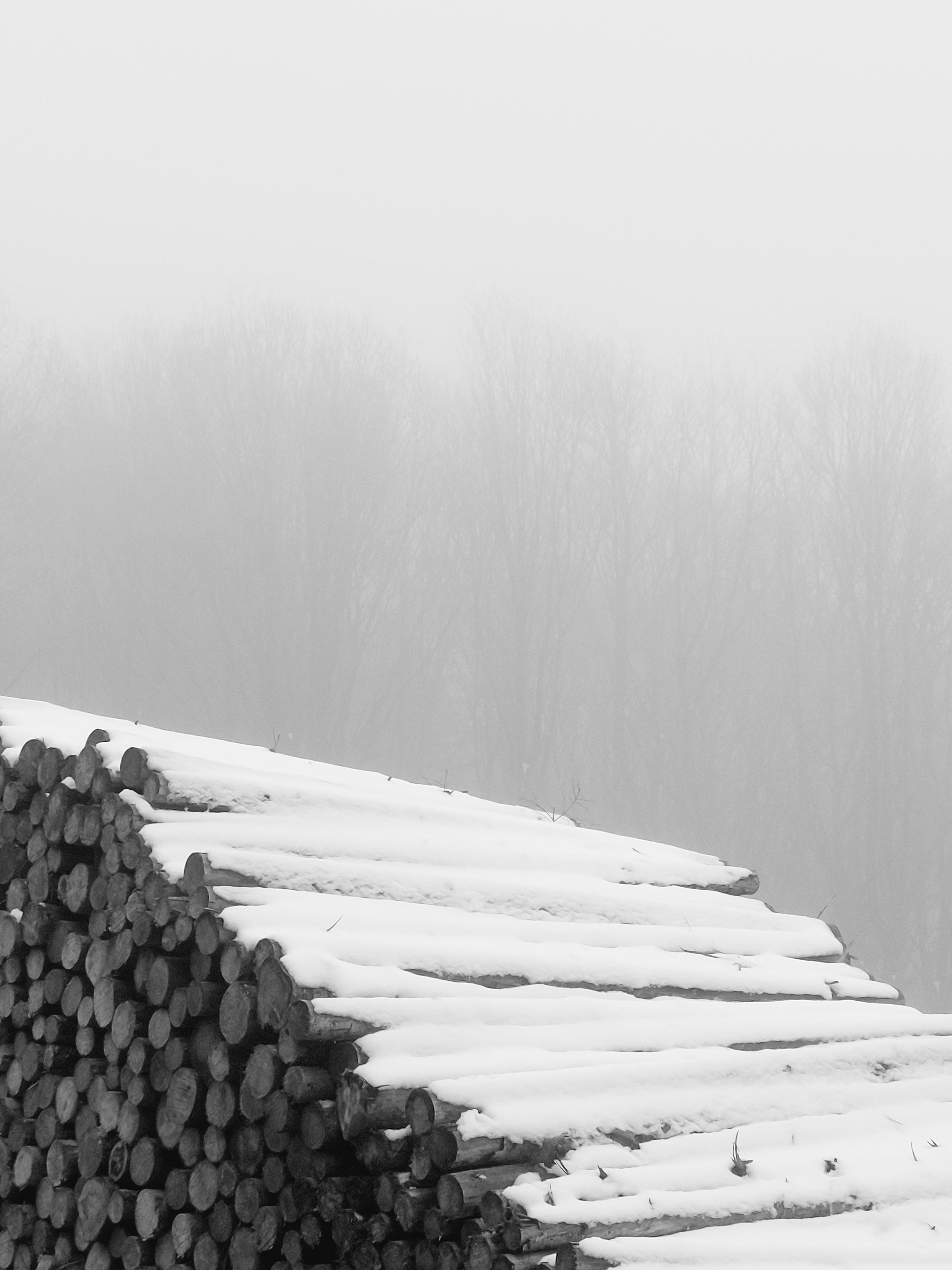 Hiking in the fog: In the foreground, a pyramid-like pile of felled tree trunks covered in snow. Behind it, further away and almost dissolving into the fog, rows of trees stretch their bare branches into the grey sky. Colours fade, sounds fall silent. As the fog descends over the landscape, everything will become solemn, calm and quiet. A blissful, monochrome silence.