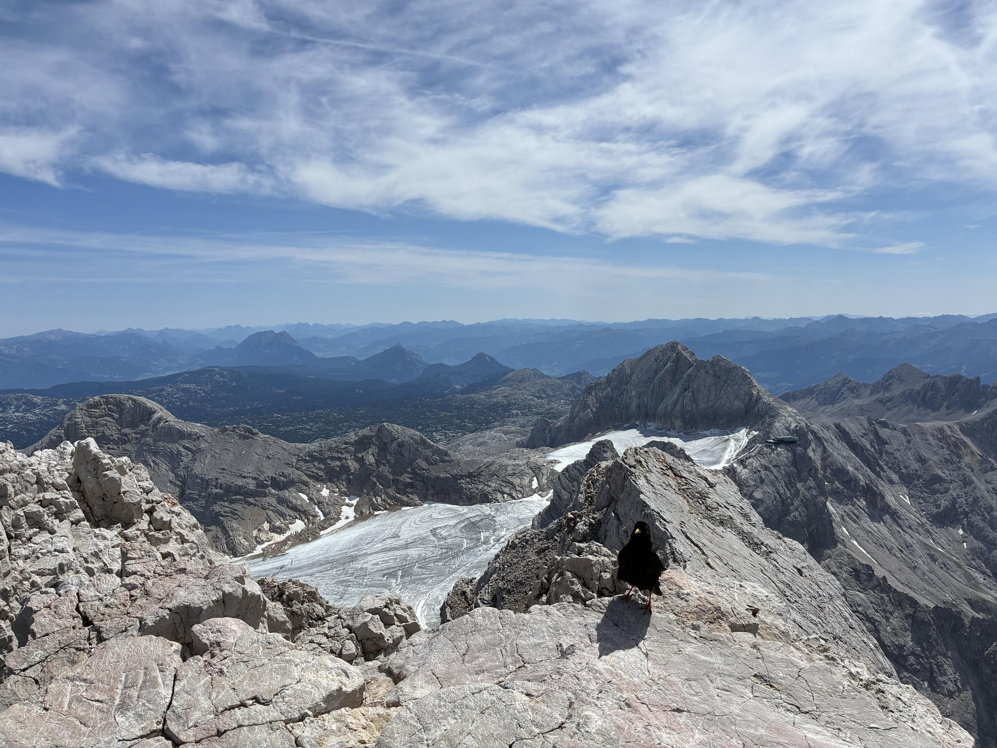 A panoramic view from a mountain peak, showcasing rugged rocky terrain and distant mountains under a blue sky with wispy clouds. A bird is perched on a rock in the foreground, with a glacier visible in the valley below.