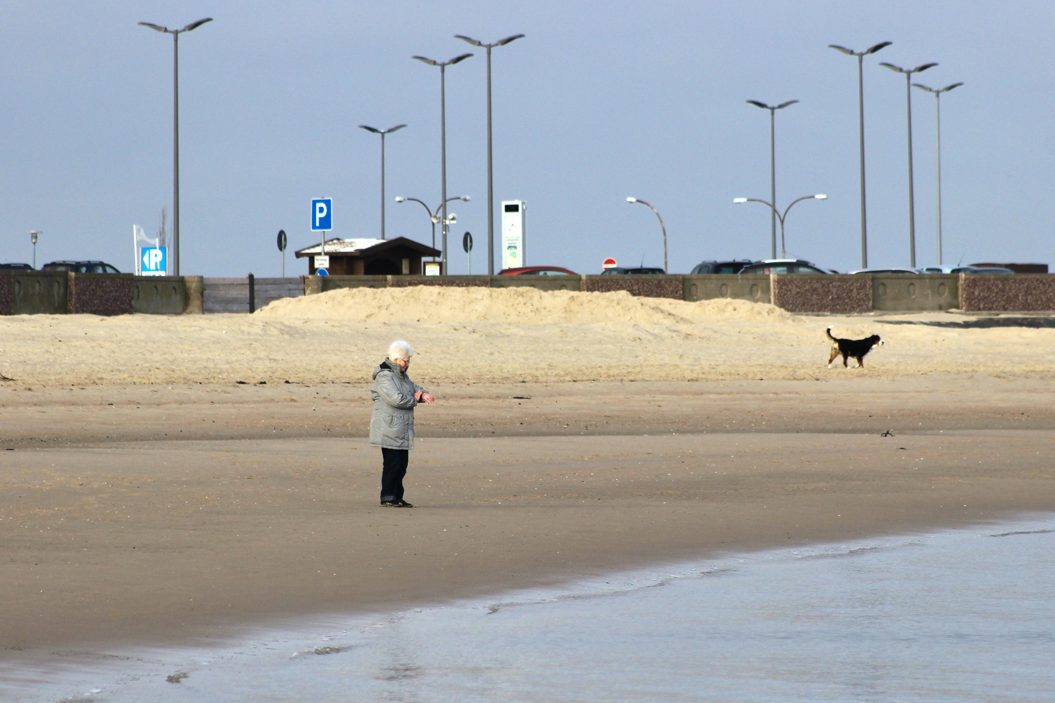das bild zeigt eine person mit hund beim gassigehen im vordergrund an einem sandstrand.

eine ältere frau steht alleine auf dem dunklen, feuchten sand. sie trägt eine graue winterjacke und dunkle hosen. im hintergrund läuft ein kleiner, schwarz-braun-weiß gefärbter hund.
hinter dem strand befindet sich ein erhöhter sandwall. dahinter ist ein parkplatz mit parkplatzschildern und autos sichtbar. mehrere hohe straßenlaternen ragen in den leicht bewölkten himmel.