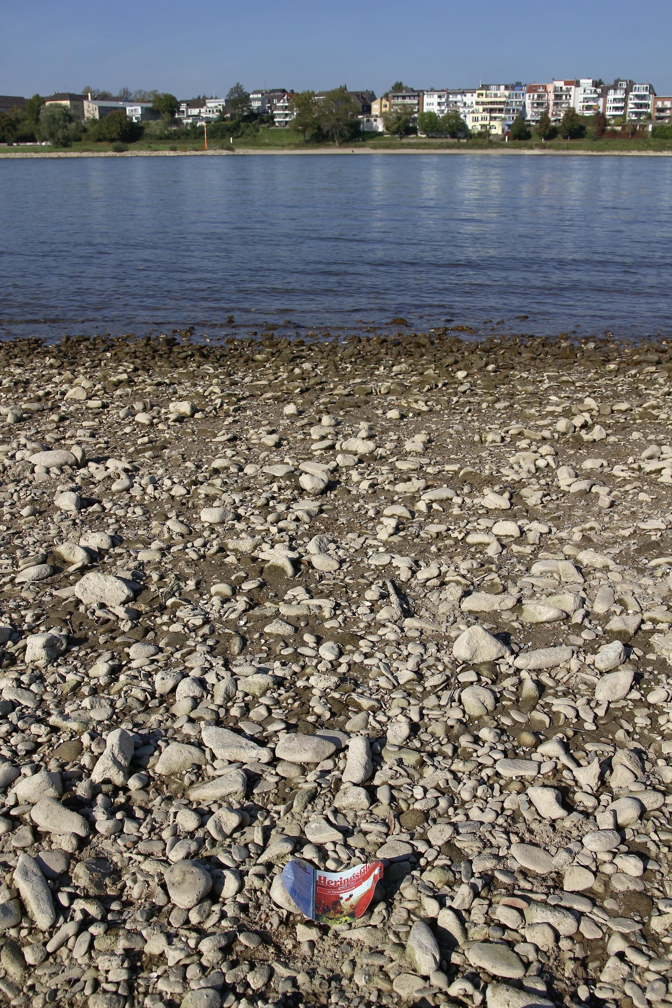 das bild zeigt das rheinufer in köln bei niedrigwasser.
im vordergrund erstreckt sich ein breiter, trockener uferstreifen aus kies und steinen. ganz unten in der mitte liegt ein weggeworfenes, buntes stück abfall; ein blechdeckel einer fischbüchse mit der aufschrift "heringsfilet – geteilt – in tomatensauce".
dahinter schließt sich das ruhige, blaue wasser des rheins an, das sich horizontal durch das bild zieht. am gegenüberliegenden ufer ist eine lange reihe von mehrstöckigen wohnhäusern und gebäuden zu sehen. die häuser sind überwiegend weiß oder hell verputzt, haben flache oder leicht schräge dächer und sind von einigen grünen bäumen und büschen umgeben. der himmel darüber ist wolkenlos und blau. das gesamte bild ist von hellem tageslicht erleuchtet.